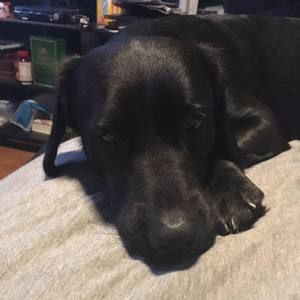 Meet your Posher, Shayna